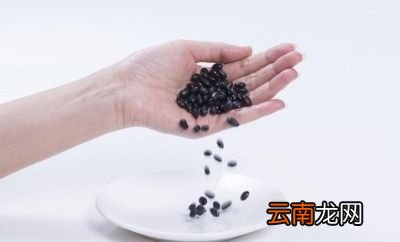 泡黑豆治白发管用吗