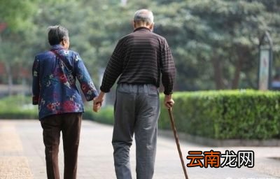 头顶的白发太多有什么方法能变黑发