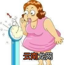 减肥期间想吃零食怎么办呢