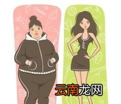 减肥期间想吃零食怎么办呢