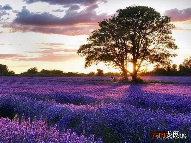 情侣个人签名经典 个性签名爱情情侣签名