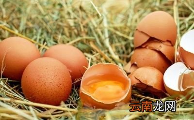 4生鸡蛋熟鸡蛋哪个更营养