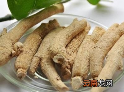 西洋参的一些成分可能有促进健康的功效