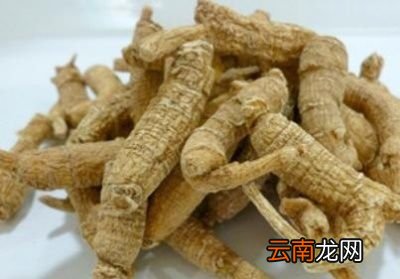 西洋参的一些成分可能有促进健康的功效