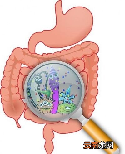 痔疮有什么表现