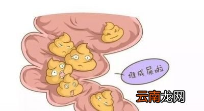 一天排便几次才正常呢