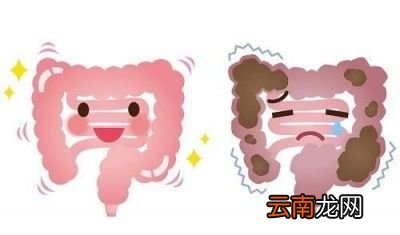 一天排便几次才正常呢