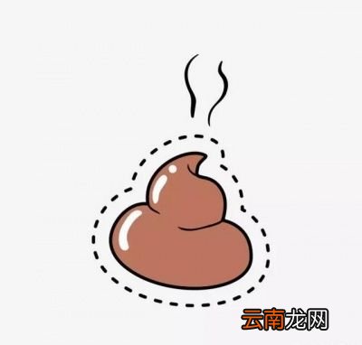 排便次数与什么有关