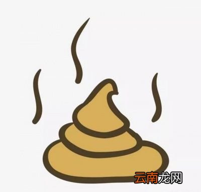 排便次数与什么有关