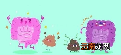 正常人一天应该排几次便