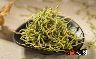 金银花的现代药理作用