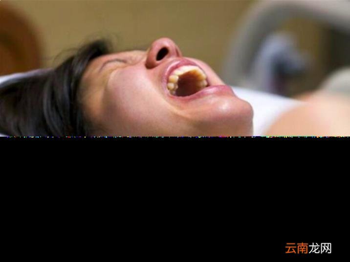 人手骨头图片 人有多少块骨头