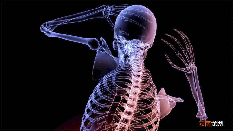 人手骨头图片 人有多少块骨头