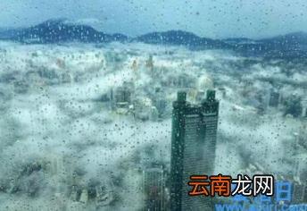 回南天家里湿漉漉的怎么办 回南天是吹什么方向的风2022