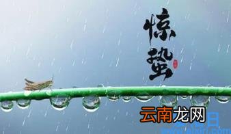 惊蛰节气的气候特点是什么 2022年3月5日惊蛰是什么节日