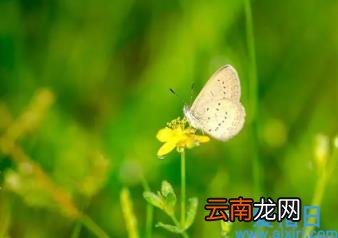 惊蛰节气的气候特点是什么 2022年3月5日惊蛰是什么节日
