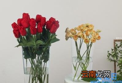网购鲜花醒花用不用摘花套 网购鲜花醒花时要不要去除外包装纸壳