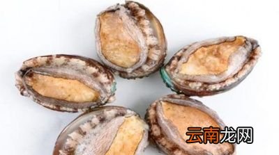 鲍鱼怎么做好吃又简单