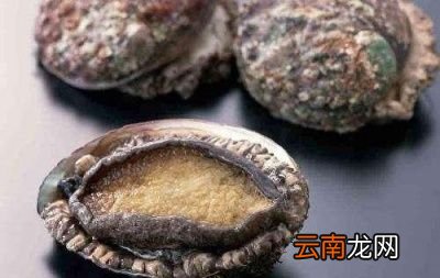 介绍一个简单美味的《鲍鱼炖小土豆》