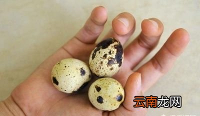 鹌鹑蛋比较合适哪些人吃呢