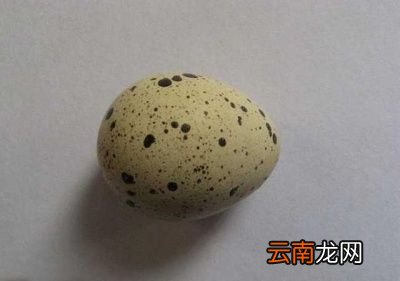鹌鹑蛋食用禁忌