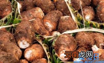芋头手痒会过敏吗 削芋头手痒多久才不痒