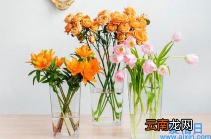 鲜花醒花用什么水 网购鲜花醒花必须用干净的水吗