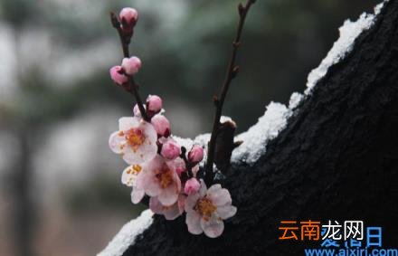 倒春寒会影响下半年天气吗 倒春寒会影响一整年的天气吗