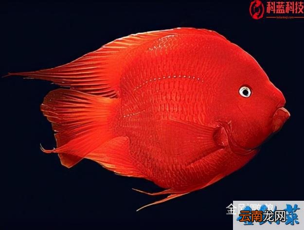 倒春寒会影响下半年天气吗 倒春寒会影响一整年的天气吗