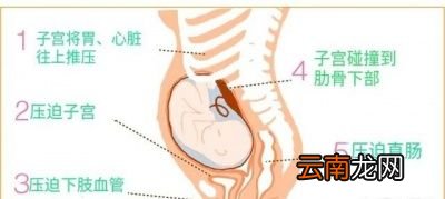 孕前到分娩子宫变化有多大