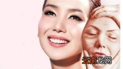 雌激素的作用是什么