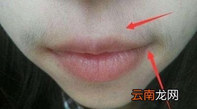 雄性激素分泌过多的原因