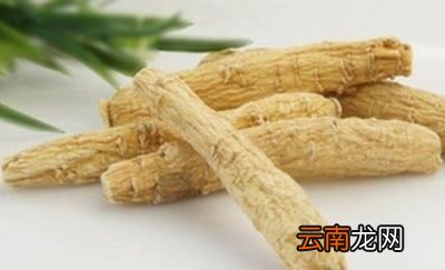 西洋参功效及现代认识