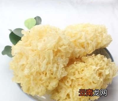 西洋参功效及现代认识