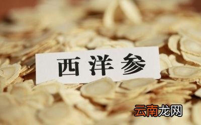 02西洋参的功效和作用