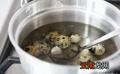 鹌鹑蛋怎么做最好吃