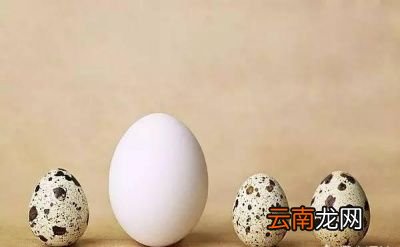 鹌鹑蛋比鸡蛋贵2倍但营养价值怎么样