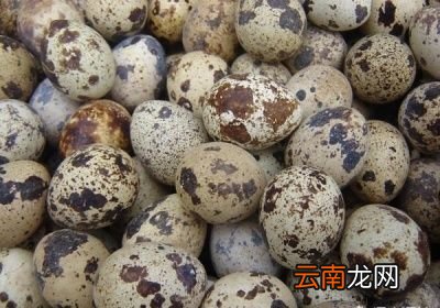 鹌鹑蛋到底营养几何