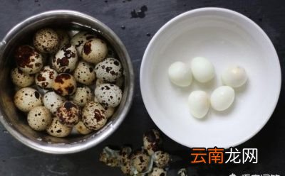 鹌鹑蛋到底营养几何