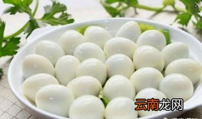 鹌鹑蛋具有哪些营养价值