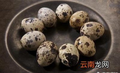 鹌鹑蛋具有哪些营养价值