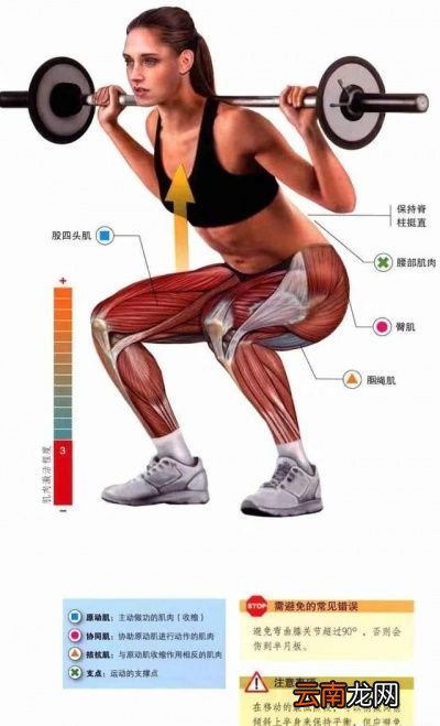 我们先来看看深蹲的优点有哪些