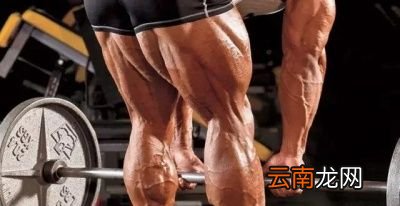 为什么深蹲重要