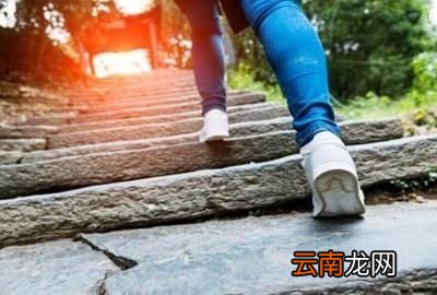 为什么深蹲重要