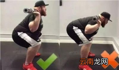 深蹲为什么重要有什么好处