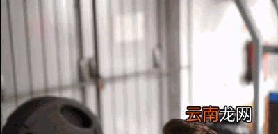 在深蹲的整个过程始终要做到以下几点