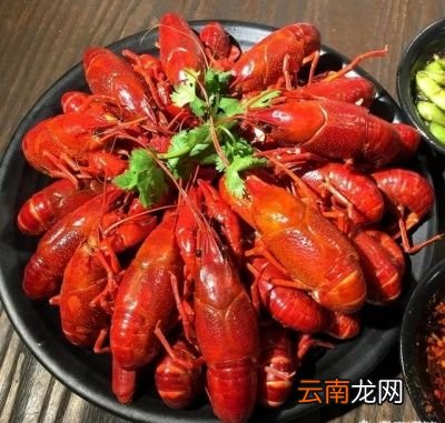 哪类食物剩下之后再吃进去对身体危害更大