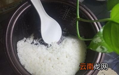 隔夜的肉类能吃吗