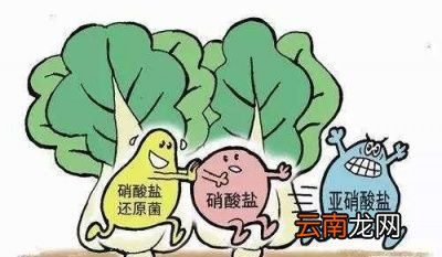 如何控制隔夜菜中的细菌