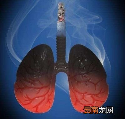 我们来分析一下戒烟到底是戒什么